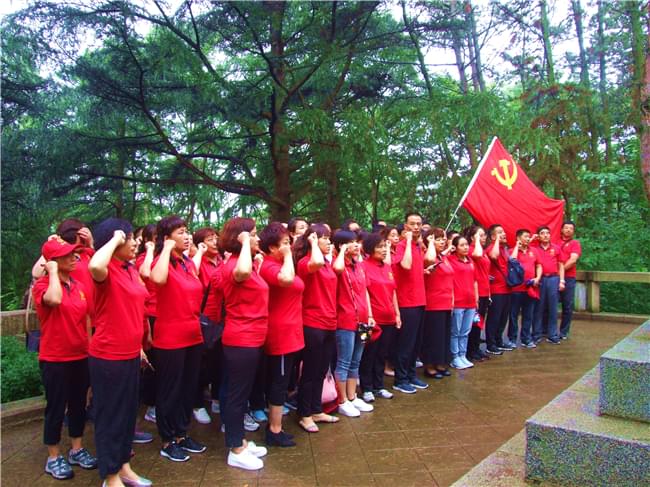 全體黨員黨旗下重溫入黨誓詞，紅心向黨、不忘初心