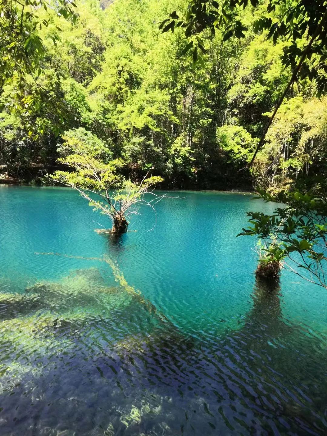 荔波大小七孔景區(qū)