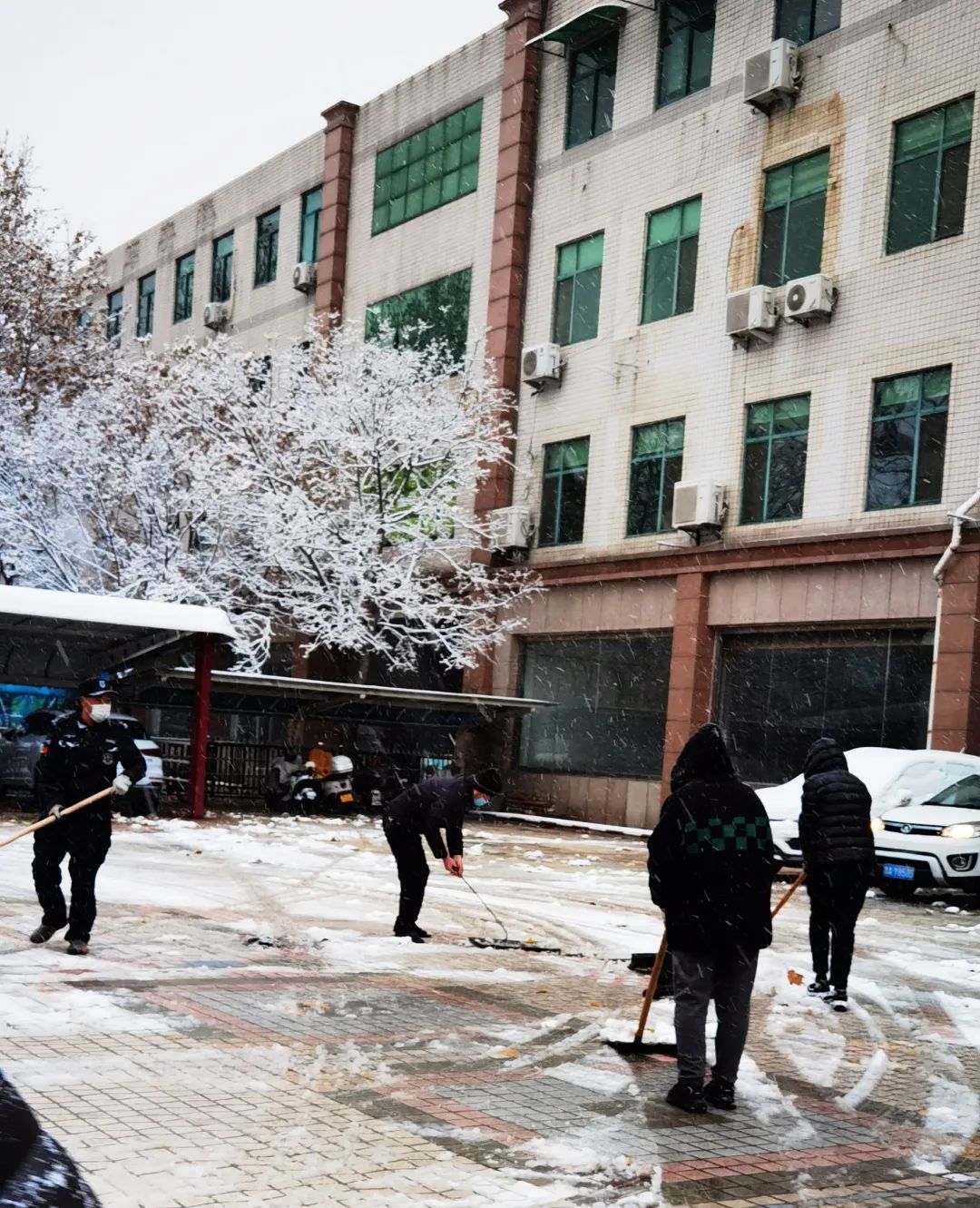 2023初雪清掃行動