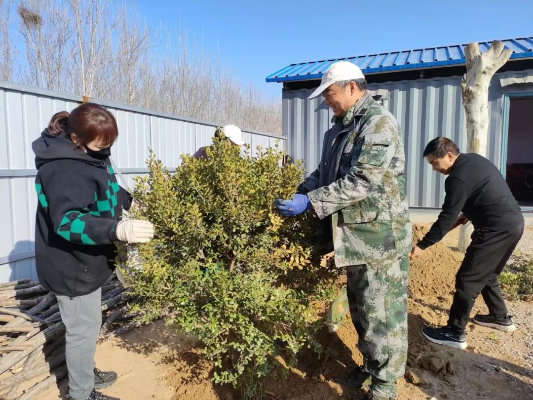 播種綠色·收獲美好