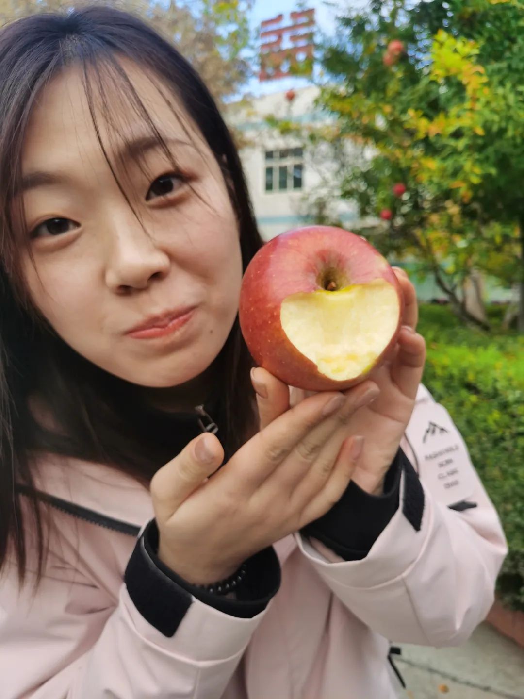 來自沂蒙六姐妺家鄉(xiāng)的蘋果真的很好吃喲！