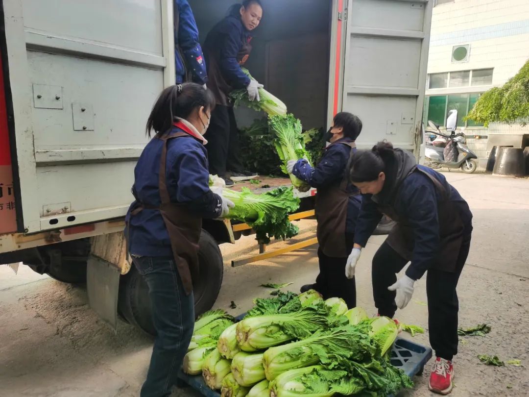 “蔬”送美好