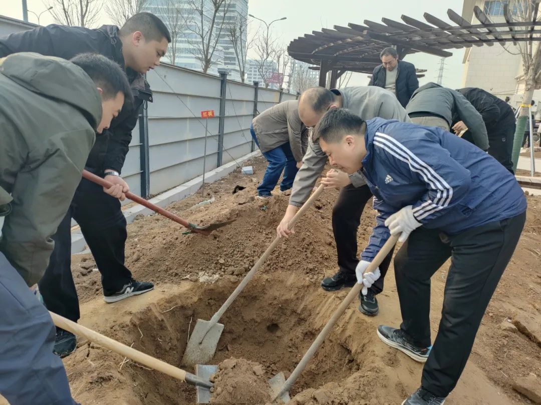 熱火朝天植樹現(xiàn)場(chǎng)