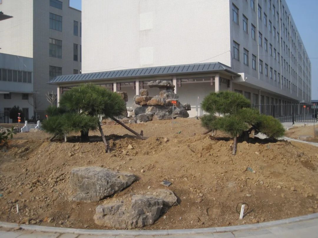 熱火朝天植樹現(xiàn)場(chǎng)