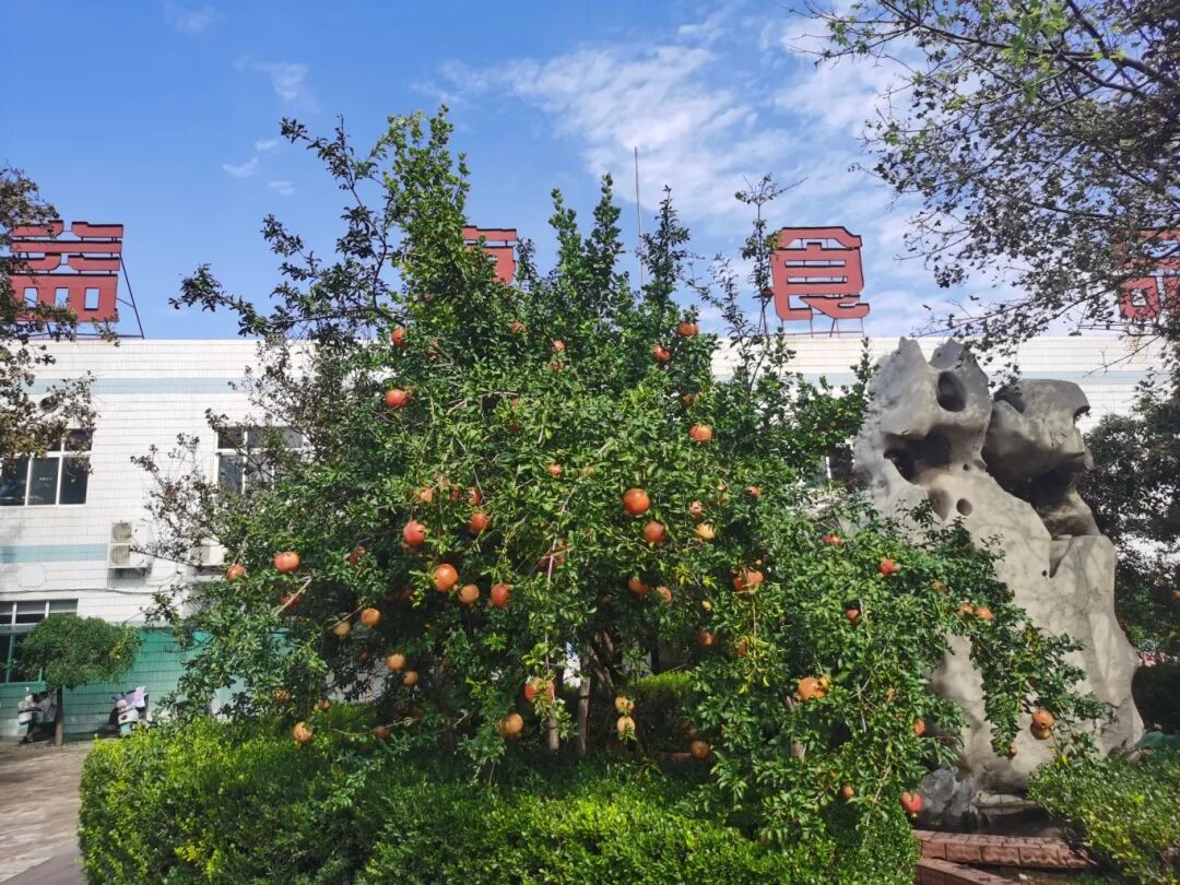 共享采摘樂趣，共慶豐收喜悅