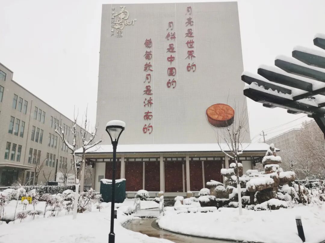 濟(jì)南益康開(kāi)展2025掃雪除冰活動(dòng)