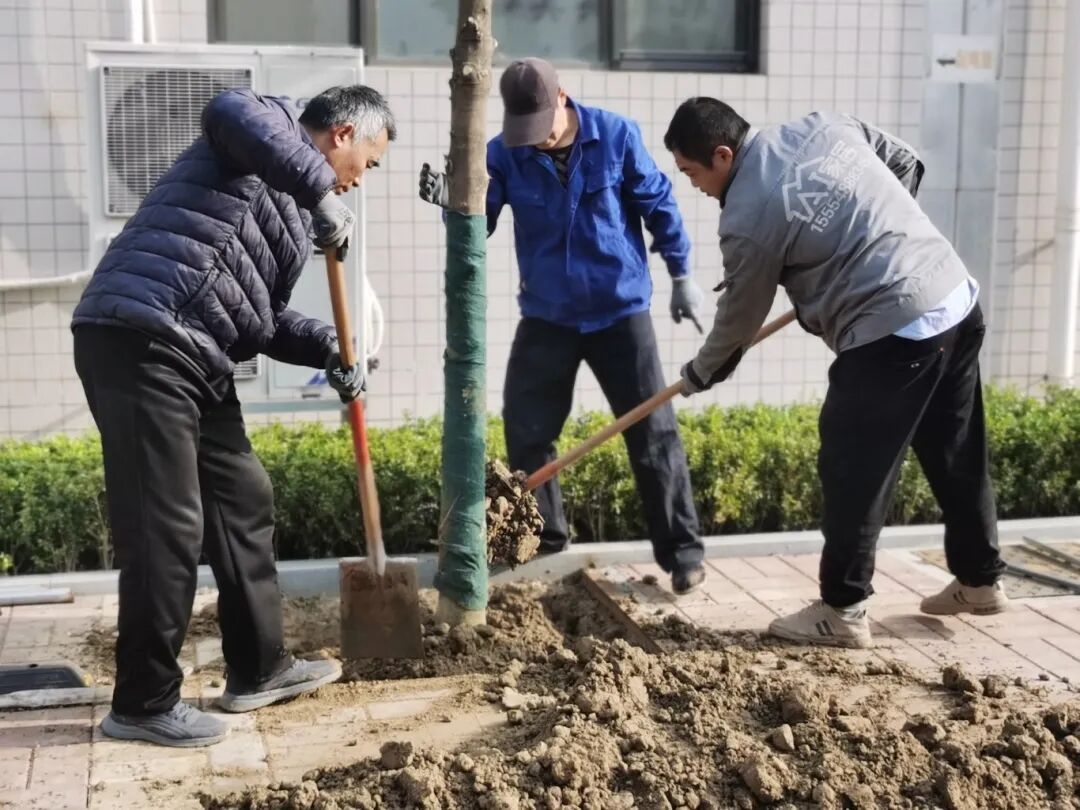 濟(jì)南益康益利思植樹節(jié)